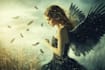 do photo editing, photo manipulation and image editing