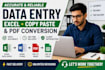 do accurate data entry, microsoft excel and PDF conversion