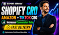 do shopify conversion rate optimization audit and ga4 meta pixel tracking audit