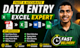 do excel data entry, PDF to excel, copy paste and web research