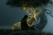 do your photo into fantasy manipulation