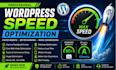 optimize wordpress speed improve core web vitals pages website performance