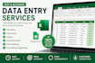 do data entry and ms excel work