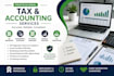 provide professional tax and accounting services