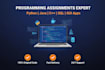 do python java c cpp programming assignments and sql database projects