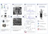 design scientific figures and graphical abstracts