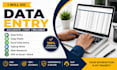 fast data entry service