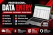 do accurate data entry, copy typing, microsoft excel, and web research