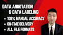 do data annotation and labeling