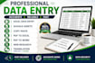 do data entry and translation