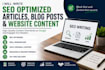write SEO optimized blog posts, articles and website content