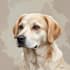 custom pet portrait, dog portrait, cat portrait