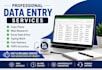 do accurate data entry, copy paste, and web search