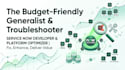 do budget friendly servicenow development, scripting and fixes
