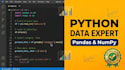 do data cleaning, preprocessing, and eda using python pandas