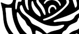 create detailed mandala tattoo design