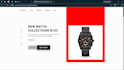develop websites and data dashboards
