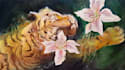 paint a custom acrylic painting on canvas