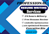 write a professional resume