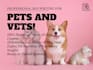 write professional SEO pet articles and veterinary blog posts