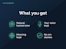 humanize ai content and edit it to a natural human tone