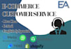 be your ecommerce customer service agent for shopify store
