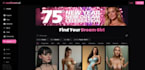 develop ai nsfw website, ai girlfriend and boyfriend model, ai image generator