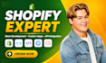 be your shopify expert for shopify store, checkout fix and API integration