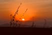 create a custom tanzania safari itinerary