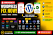 fix wordpress issues, errors, bugs, fix broken website