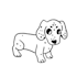 turn your pet into a silly, cute doodle illustration