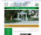 do web, application, database, content wring and saas