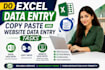 do excel data entry, copy paste and website data entry tasks