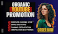 professionally create a youtube channel, yt promotion