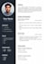 design a professional CV and resume