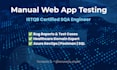 do manual testing of your web application