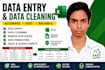 do data entry and data cleaning in microsoft excel