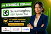 screaming frog SEO audit and fix all technical audit errors of your website