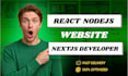 build a blazing fast nextjs clean react website and professional nodejs backend