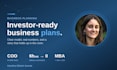 write an investor ready business plan for your startup or smb