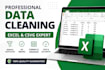 do professional data cleaning in excel and CSV files
