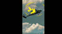 create collage animation, lyrics animation, and vox style video