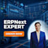 do expert erpnext customization and frappe app development