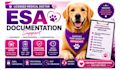 provide esa support documentation, soap sud dap birp notes esa progress letters