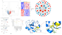 do bioinformatics analysis, data visualization using r, python and linux