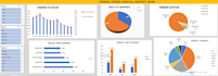 design a dynamic excel dashboard and data visualization report