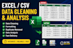 clean, format and analyze excel or csv data