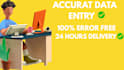 do 1 hour fast excel data entry for trial
