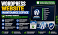 provide wordpress website maintenance, updates and support