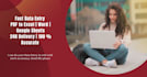 do fast accurate data entry , pdf to excel ,typing in 24 h